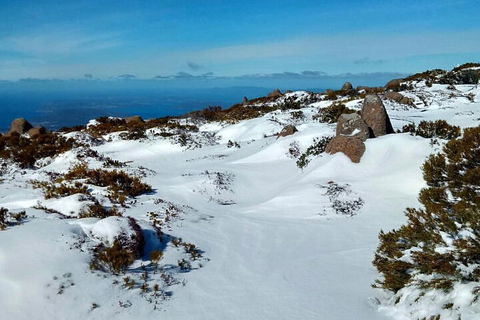 Mount Wellington Ultimate Experience Tour From Hobart - Pubs Melbourne 1