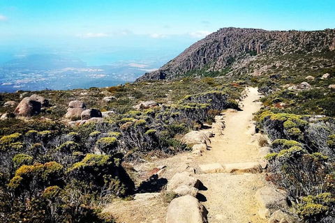 Mount Wellington Ultimate Experience Tour From Hobart - Pubs Melbourne 5