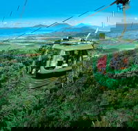 Kuranda Rainforest station Scenic railway and Skyrail tour - Pubs Melbourne