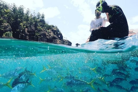 2 Night Small Group Whitsundays Sailing Adventure Aboard Mandrake - Pubs Melbourne 5