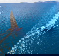 2-Night Whitsunday Islands Sailing Adventure on Trimaran Avatar - Pubs Melbourne