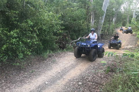 Cairns ATV Adventure Tour And Morning Train - Pubs Melbourne 0