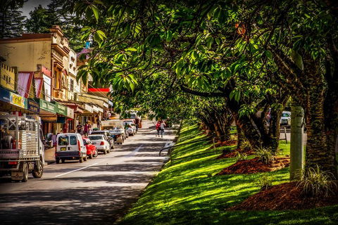 Fully Inclusive Blue Mountains Private Tour Inc Scenic World & Featherdale Entry - Pubs Melbourne 0