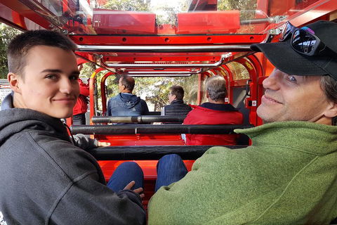 Fully Inclusive Blue Mountains Private Tour Inc Scenic World & Featherdale Entry - Pubs Melbourne 1