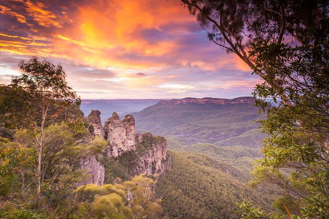 Fully Inclusive Blue Mountains Private Tour Inc Scenic World & Featherdale Entry - Pubs Melbourne 5