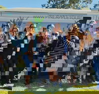 Full Day Mount Tamborine Winery Tour from Gold Coast - Pubs Melbourne