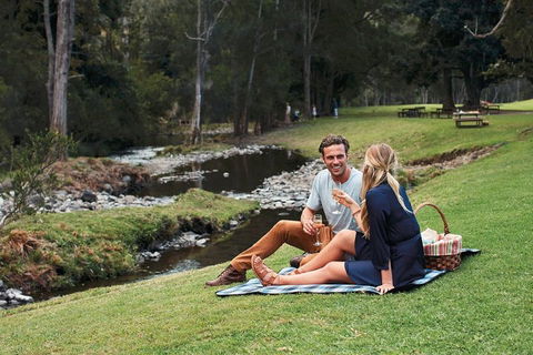Mt Tamborine - Hinterland Wonders Self Guided - Pubs Melbourne 0
