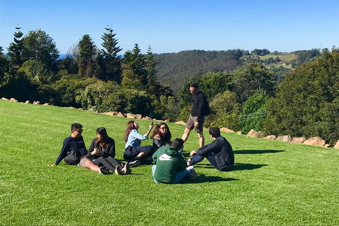 Mt Tamborine - Hinterland Wonders Self Guided - Pubs Melbourne 1