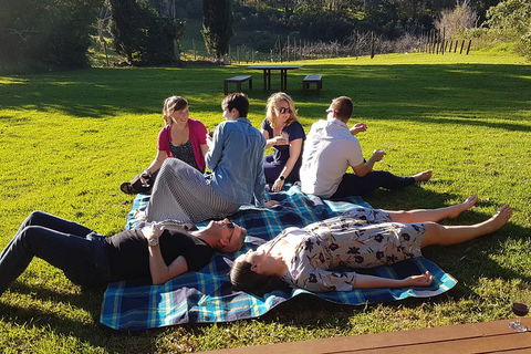 Mt Tamborine - Hinterland Wonders Self Guided - Pubs Melbourne 2