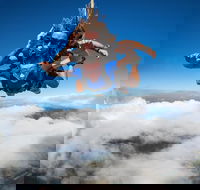 Reef and Rainforest Tandem Sky Dive in Cairns - Pubs Melbourne