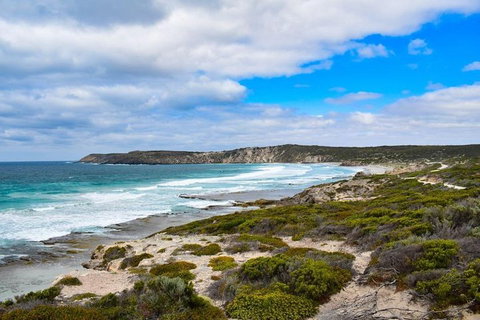 Kangaroo Island Luxury Small Group 'East End Explorer' Full Day Tour - Pubs Melbourne 0