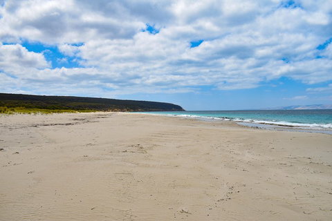 Kangaroo Island Luxury Small Group 'East End Explorer' Full Day Tour - Pubs Melbourne 3