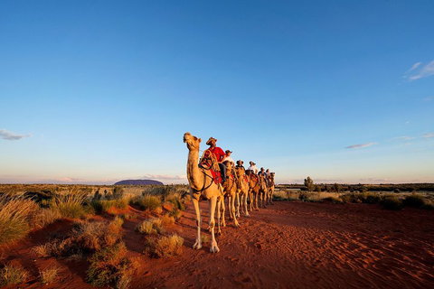 Uluru Small-Group Tour By Camel At Sunrise Or Sunset - Pubs Melbourne 3