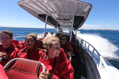 Adventure Rottnest Tour With Ferry & Adventure Cruise From Perth Or Fremantle - Pubs Melbourne 0