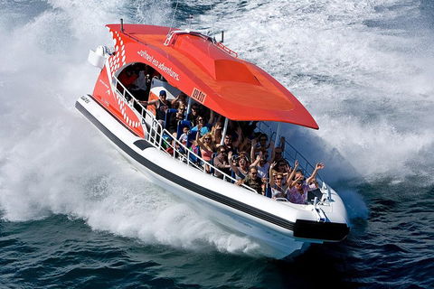 Adventure Rottnest Tour With Ferry & Adventure Cruise From Perth Or Fremantle - Pubs Melbourne 2
