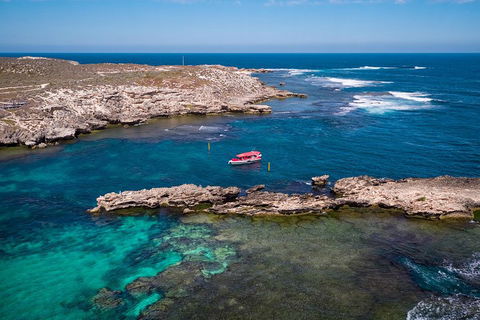 Adventure Rottnest Tour With Ferry & Adventure Cruise From Perth Or Fremantle - Pubs Melbourne 3
