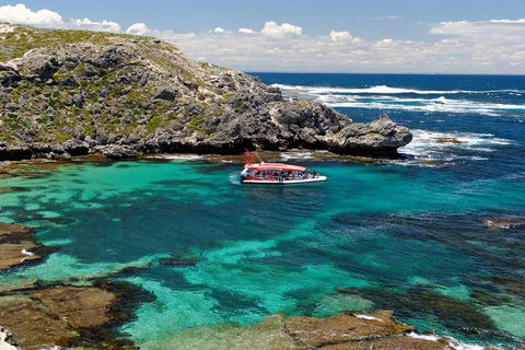 Adventure Rottnest Tour With Ferry & Adventure Cruise From Perth Or Fremantle - Pubs Melbourne 5