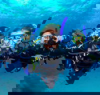 Great Barrier Reef Diving and Snorkeling Cruise from Cairns - Pubs Melbourne