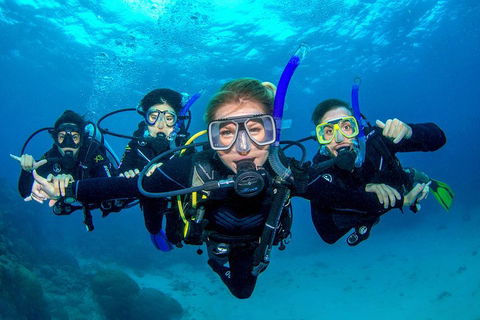 Great Barrier Reef Diving And Snorkeling Cruise From Cairns - Pubs Melbourne 0