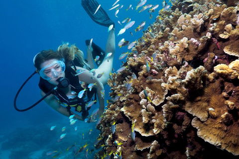 Great Barrier Reef Diving And Snorkeling Cruise From Cairns - Pubs Melbourne 1