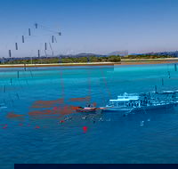 Ocean Free Green Island  Great Barrier Reef Snorkel Cruise Cairns 25 guests - Pubs Melbourne