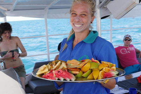 Ocean Free Green Island & Great Barrier Reef Snorkel Cruise, Cairns 25 Guests - Pubs Melbourne 1