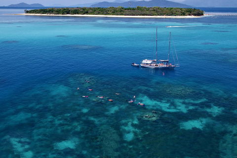 Ocean Free Green Island & Great Barrier Reef Snorkel Cruise, Cairns 25 Guests - Pubs Melbourne 2