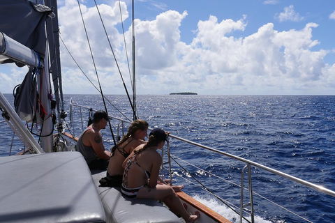 Ocean Free Green Island & Great Barrier Reef Snorkel Cruise, Cairns 25 Guests - Pubs Melbourne 4