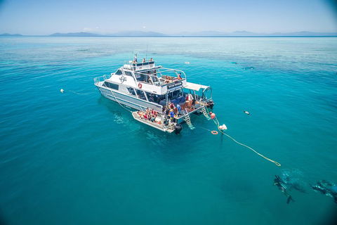 Ocean Freedom Great Barrier Reef Personal Luxury Snorkel & Dive Cruise, Cairns - Pubs Melbourne 0