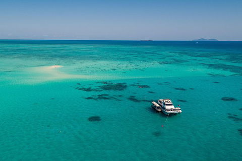 Ocean Freedom Great Barrier Reef Personal Luxury Snorkel & Dive Cruise, Cairns - Pubs Melbourne 2