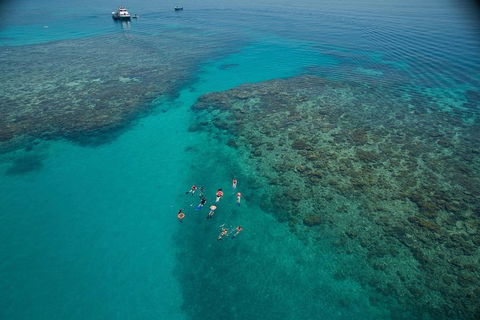 Ocean Freedom Great Barrier Reef Personal Luxury Snorkel & Dive Cruise, Cairns - Pubs Melbourne 3