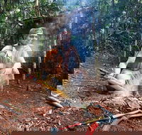 Kuranda Highlights including Rainforestation Aboriginal Culture and Wildlife - Pubs Melbourne