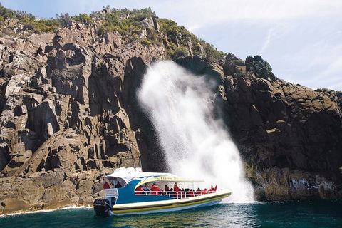 3-Hour Bruny Island Cruise From Adventure Bay, Bruny Island - Pubs Melbourne 5
