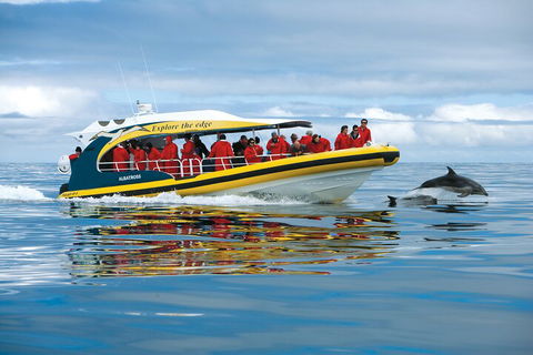 Tasman Island Cruises And Port Arthur Historic Site Day Tour From Hobart - Pubs Melbourne 3