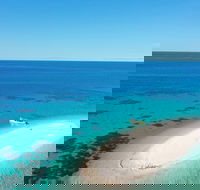 Ocean Safari Great Barrier Reef Experience in Cape Tribulation - Pubs Melbourne
