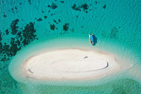 Ocean Safari Great Barrier Reef Experience In Cape Tribulation - Pubs Melbourne 3