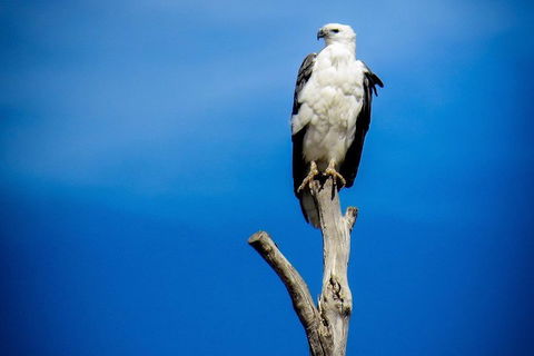 Kangaroo Island 75-Minute Ocean Safari - Pubs Melbourne 0