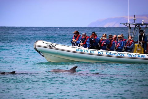 Kangaroo Island 75-Minute Ocean Safari - Pubs Melbourne 4