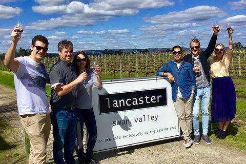 Swan Valley Tour From Perth: Wine, Beer And Chocolate Tastings - Pubs Melbourne 1