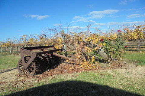 Swan Valley Tour From Perth: Wine, Beer And Chocolate Tastings - Pubs Melbourne 3
