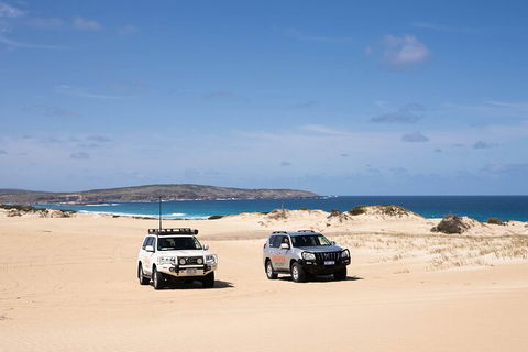 3 Day Port Lincoln And Coffin Bay Private Tour - Pubs Melbourne 0