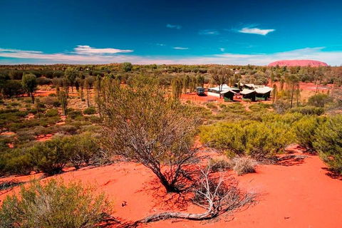 Overnight Uluru (Ayers Rock) Small-Group Camping Tour - Pubs Melbourne 2