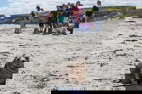 Book Viator Accommodation Vacations Pubs Melbourne Pubs Melbourne