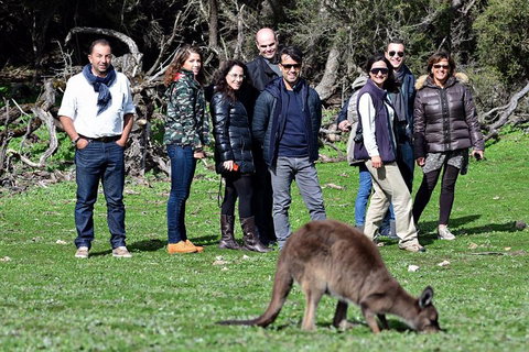 2-Day Kangaroo Island 4WD Small-Group Tour From Adelaide - Pubs Melbourne 1