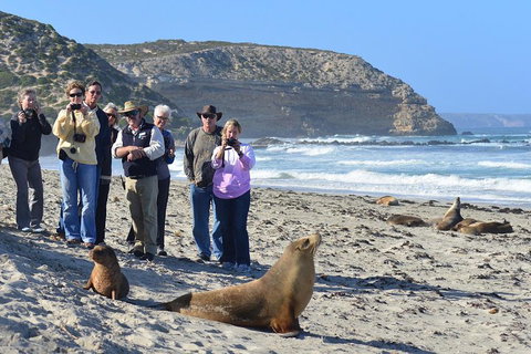 2-Day Kangaroo Island 4WD Small-Group Tour From Adelaide - Pubs Melbourne 3