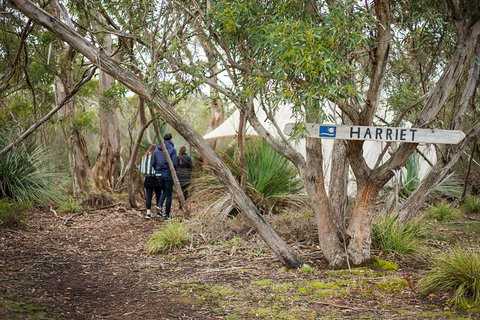 2-Day Kangaroo Island 4WD Small-Group Tour From Adelaide - Pubs Melbourne 5