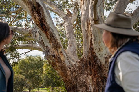 NEW TOUR - Kangaroo Island Road To Recovery Tour (1 Day/1 Night) - Pubs Melbourne 0