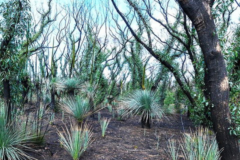 NEW TOUR - Kangaroo Island Road To Recovery Tour (1 Day/1 Night) - Pubs Melbourne 3