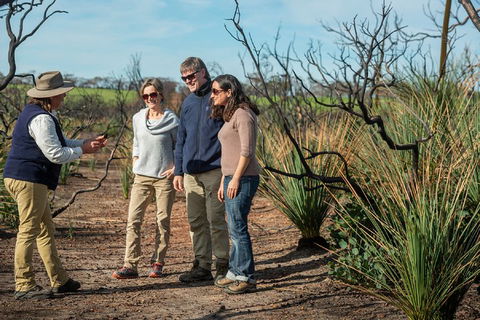NEW TOUR - Kangaroo Island Road To Recovery Tour (1 Day/1 Night) - Pubs Melbourne 4