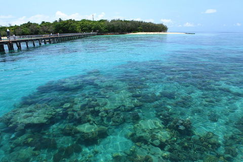 Cairns City Sights And Surrounds Tour - Pubs Melbourne 1